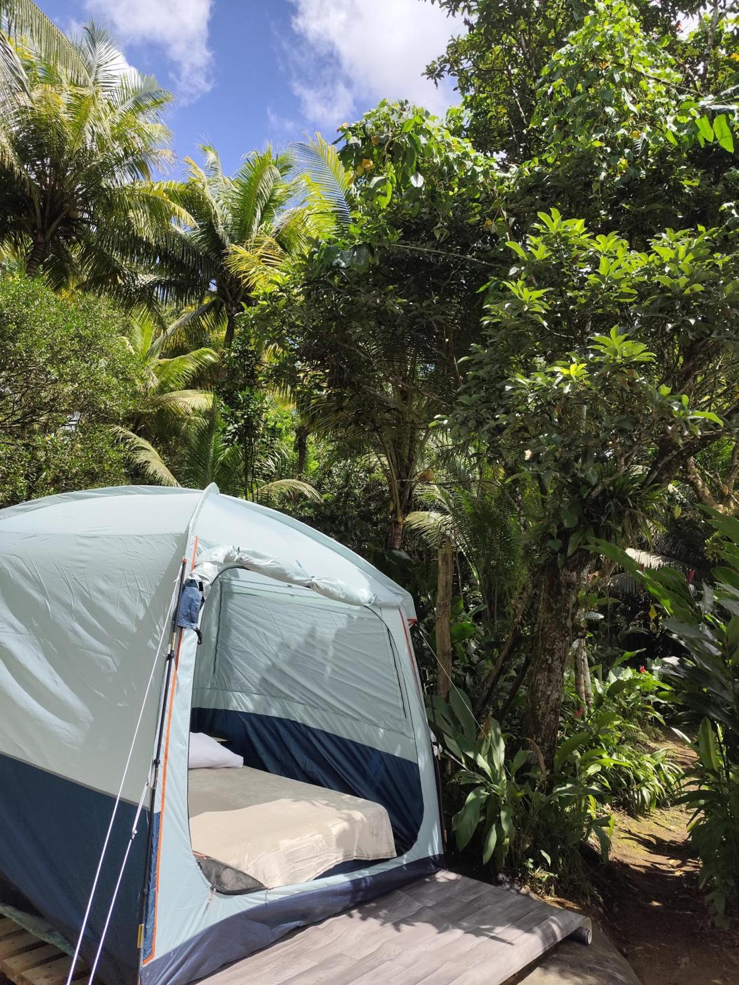 Camping A La Ferme Gros-Morne Экстерьер фото
