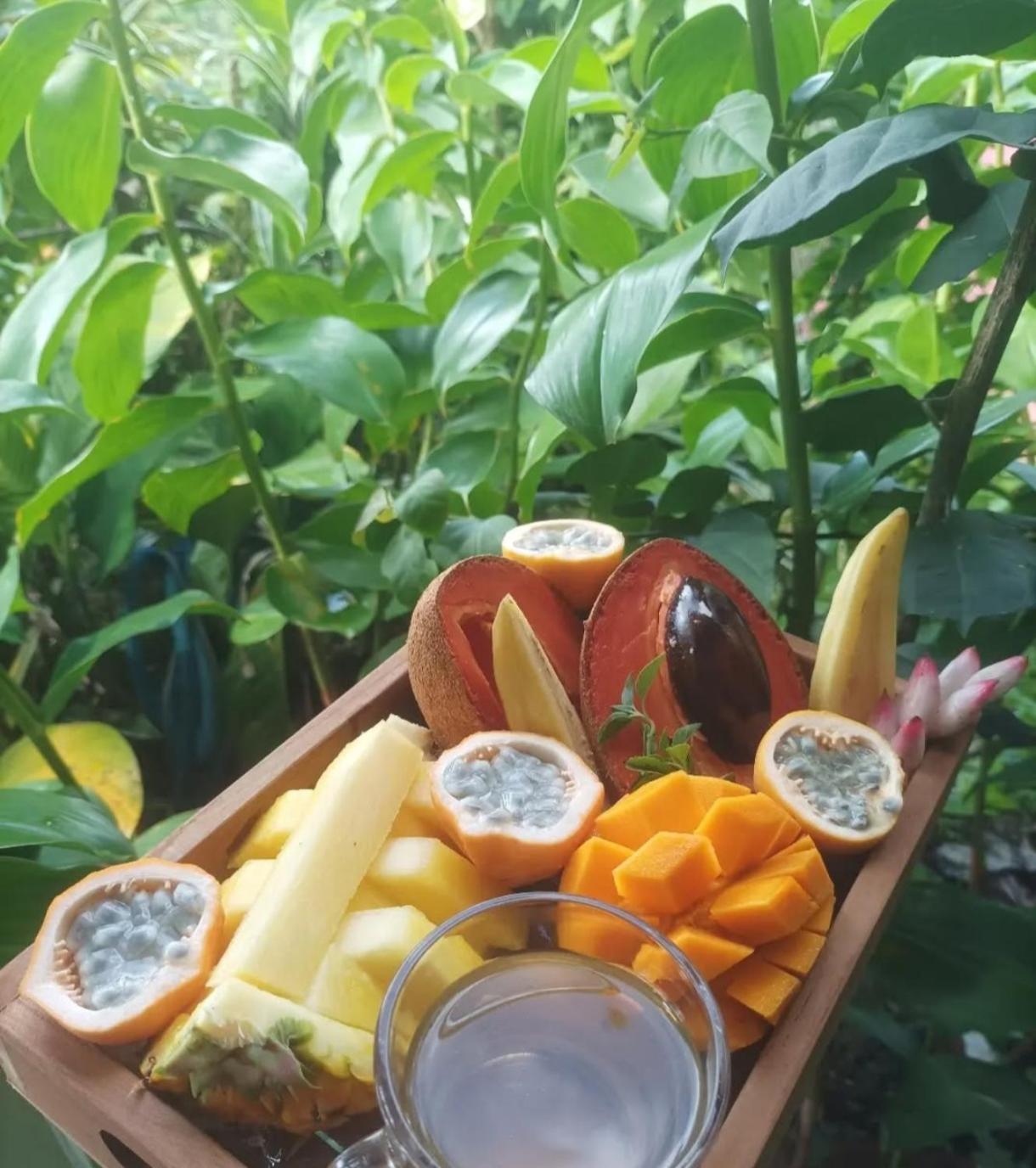Camping A La Ferme Gros-Morne Экстерьер фото